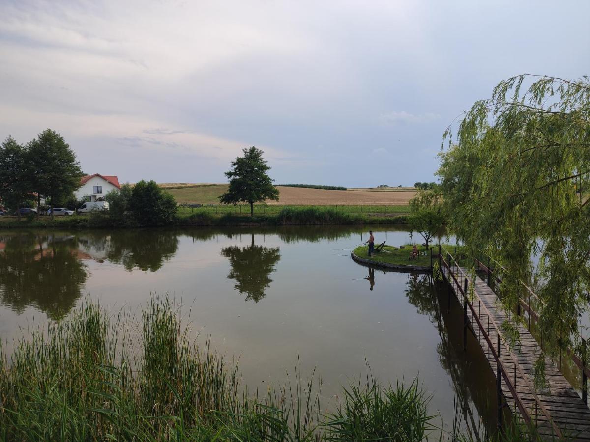 Agrowczasy Nad Stawem Villa Gartatowice Eksteriør billede
