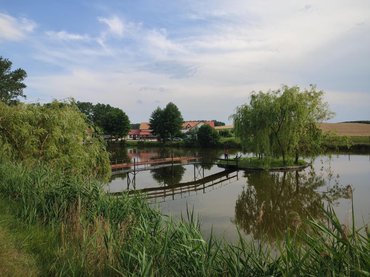 Agrowczasy Nad Stawem Villa Gartatowice Eksteriør billede
