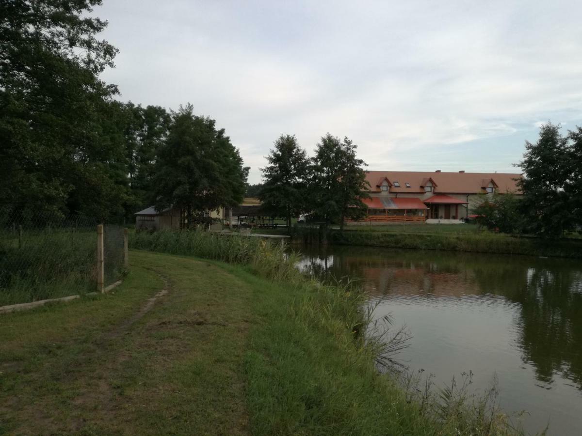Agrowczasy Nad Stawem Villa Gartatowice Eksteriør billede